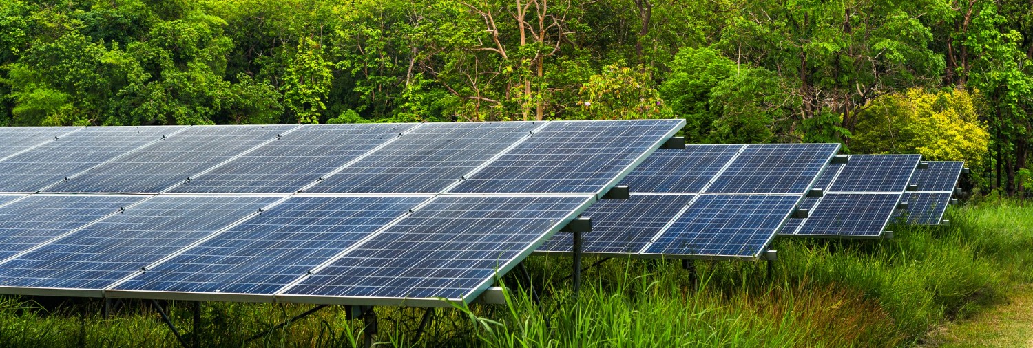 India Considers Domestic Solar Cell Mandate to Strengthen Clean Energy Ecosystem